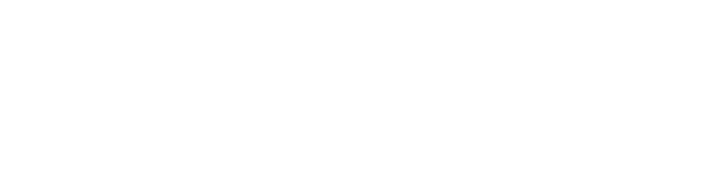 BL Marketing Digital